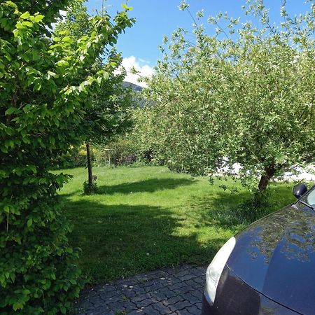 Flores, Ferienhaus Oder Doppelzimmer, Im Gruenen, 5 Gehminuten Ins Zentrum, Parkplatz, Zero Emissions Bad Ischl Luaran gambar