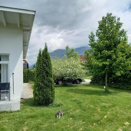 Flores, Ferienhaus Oder Doppelzimmer, Im Gruenen, 5 Gehminuten Ins Zentrum, Parkplatz, Zero Emissions Bad Ischl Luaran gambar