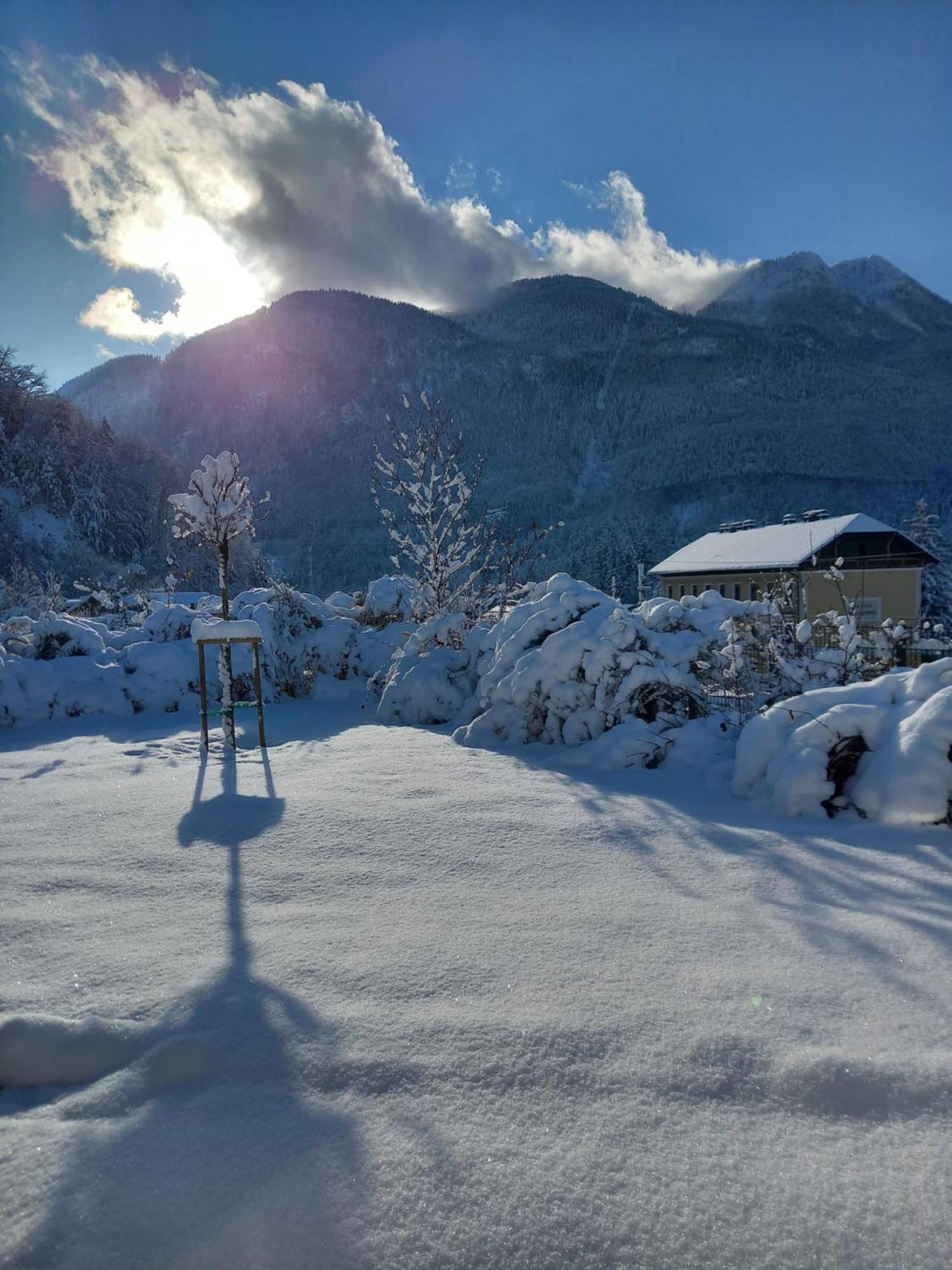 Flores, Ferienhaus Oder Doppelzimmer, Im Gruenen, 5 Gehminuten Ins Zentrum, Parkplatz, Zero Emissions Bad Ischl Luaran gambar