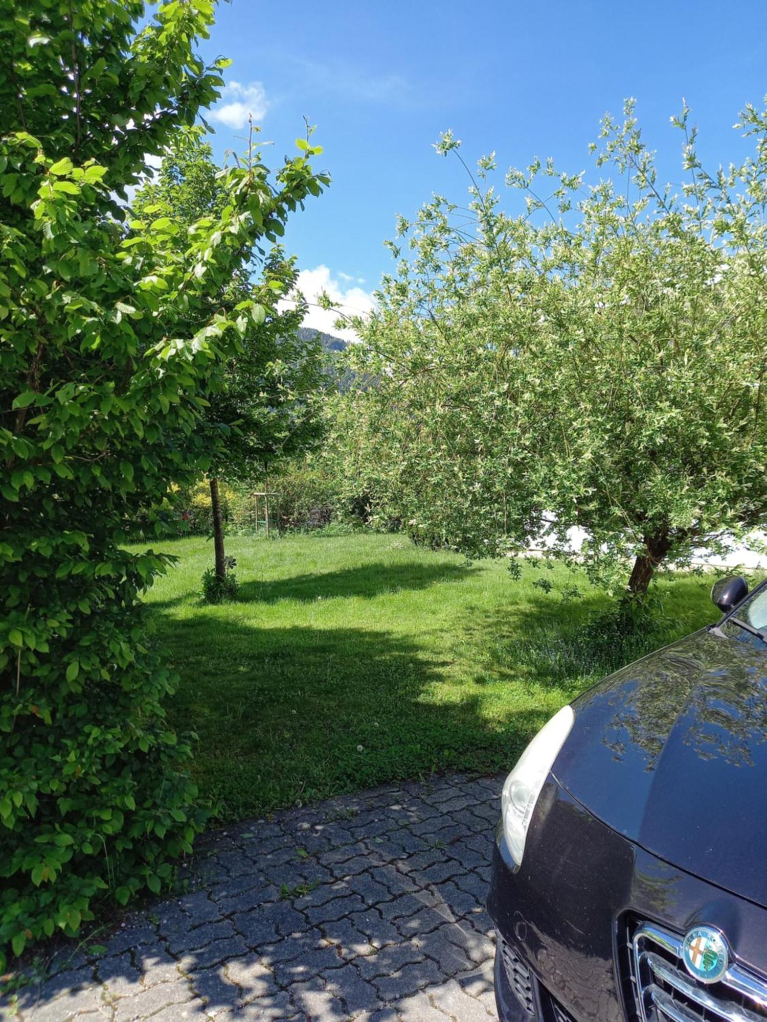 Flores, Ferienhaus Oder Doppelzimmer, Im Gruenen, 5 Gehminuten Ins Zentrum, Parkplatz, Zero Emissions Bad Ischl Luaran gambar