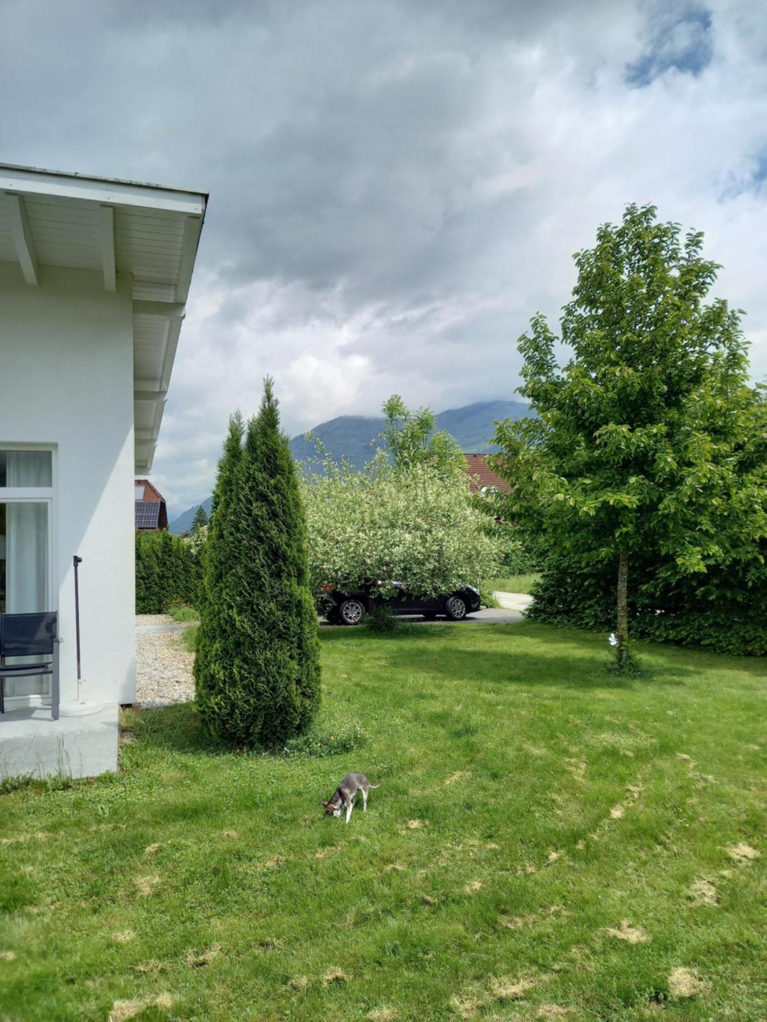 Flores, Ferienhaus Oder Doppelzimmer, Im Gruenen, 5 Gehminuten Ins Zentrum, Parkplatz, Zero Emissions Bad Ischl Luaran gambar