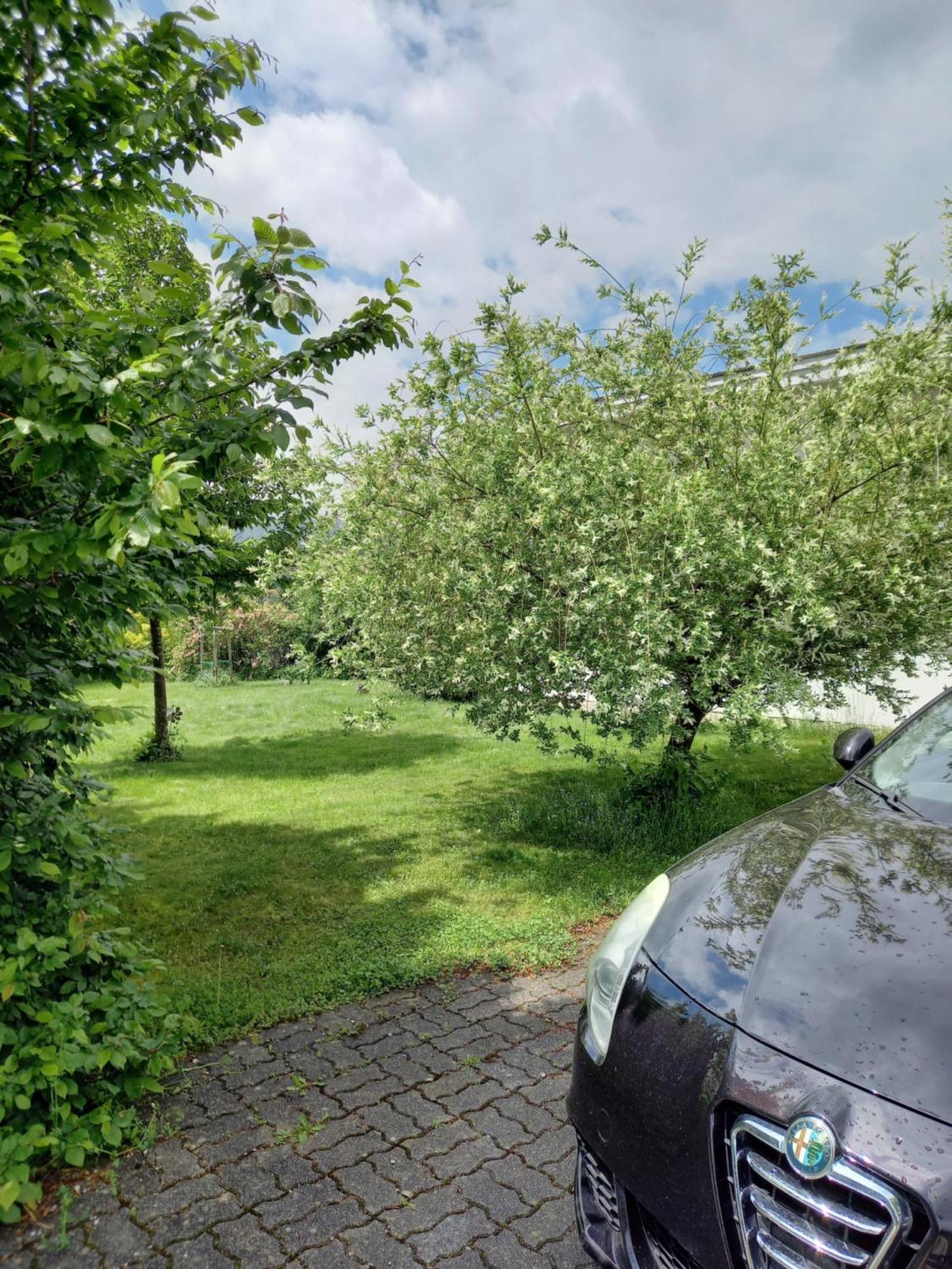 Flores, Ferienhaus Oder Doppelzimmer, Im Gruenen, 5 Gehminuten Ins Zentrum, Parkplatz, Zero Emissions Bad Ischl Luaran gambar