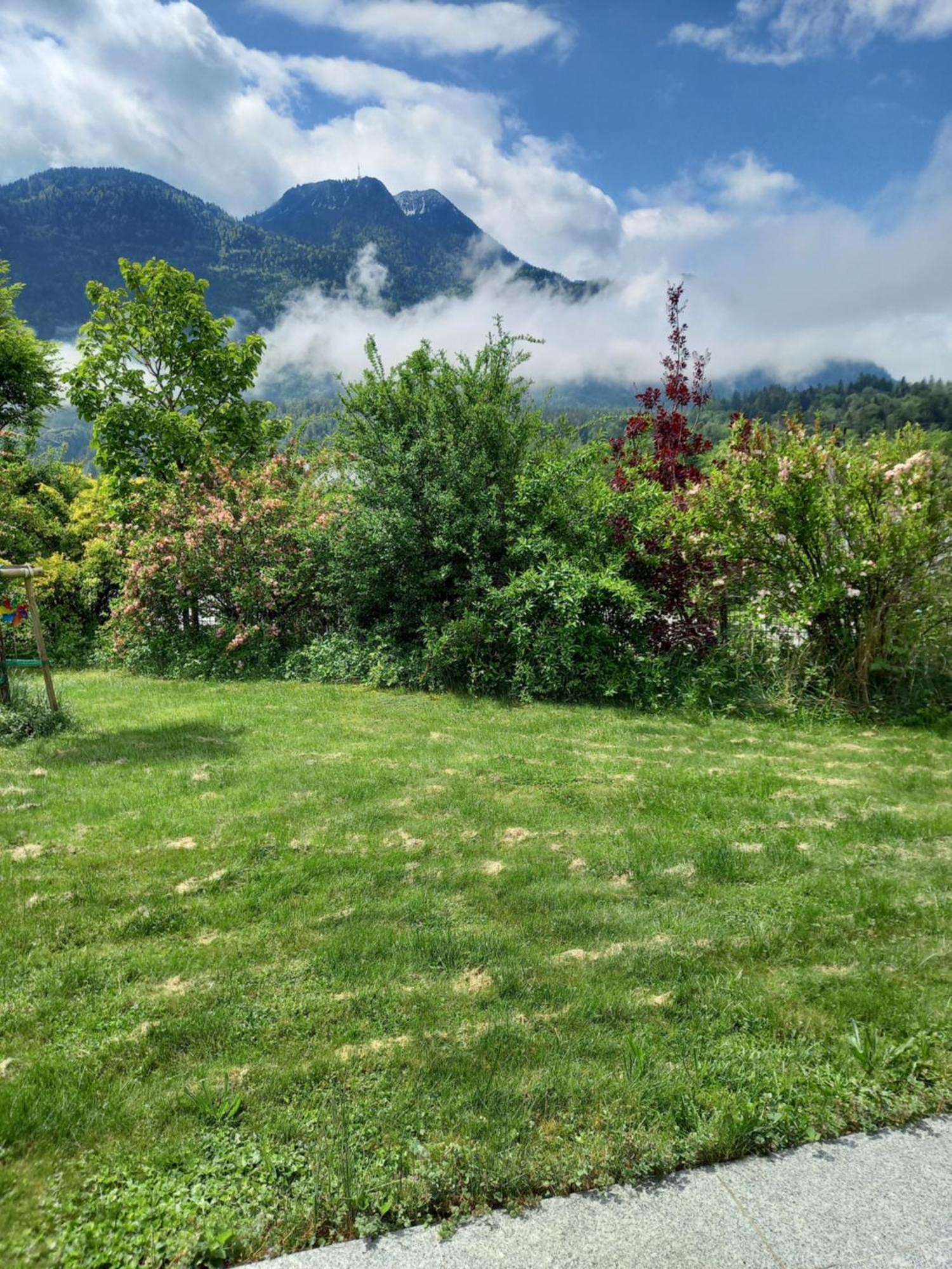 Flores, Ferienhaus Oder Doppelzimmer, Im Gruenen, 5 Gehminuten Ins Zentrum, Parkplatz, Zero Emissions Bad Ischl Luaran gambar