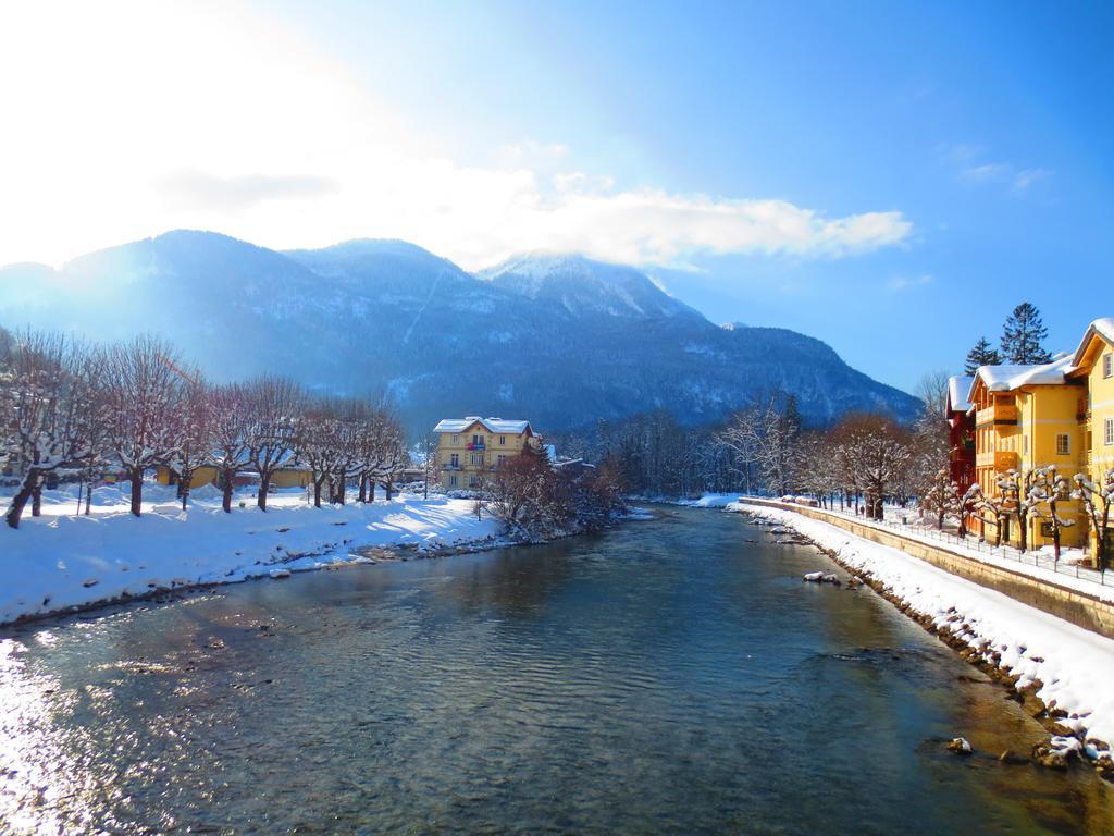 Flores, Ferienhaus Oder Doppelzimmer, Im Gruenen, 5 Gehminuten Ins Zentrum, Parkplatz, Zero Emissions Bad Ischl Luaran gambar
