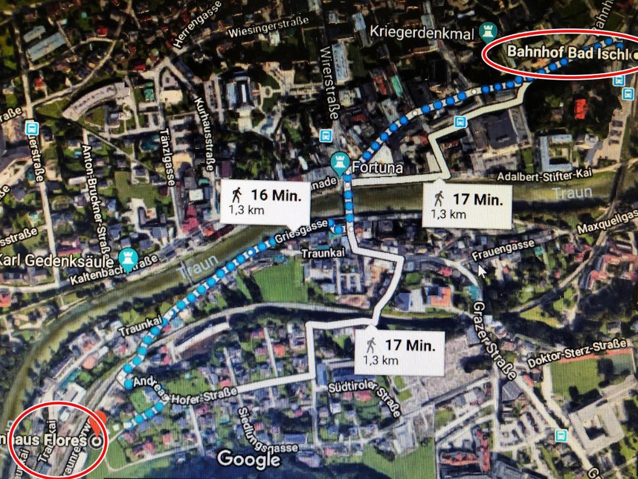 Flores, Ferienhaus Oder Doppelzimmer, Im Gruenen, 5 Gehminuten Ins Zentrum, Parkplatz, Zero Emissions Bad Ischl Luaran gambar